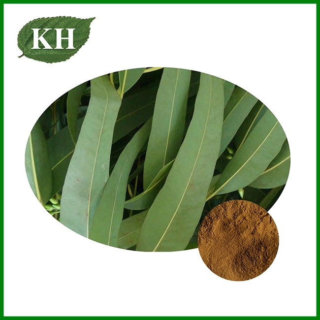 Eucalyptus Leaf Extract — Essential Active Ingredients